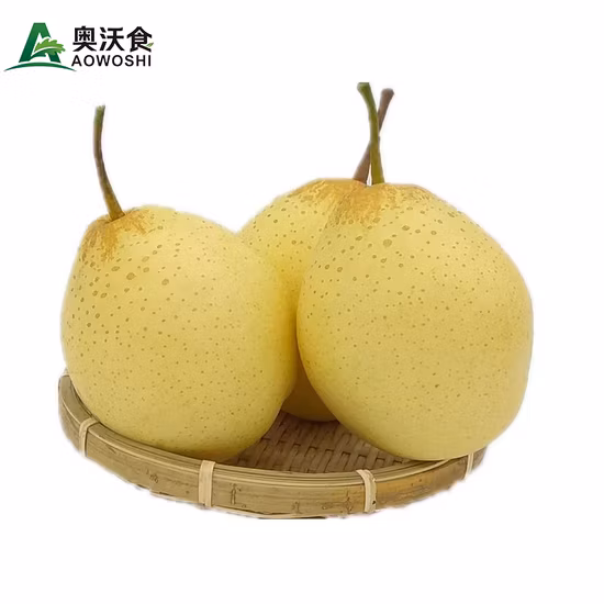 Nueva temporada china 2023 Venta de pera Ya amarilla fresca con calidad superior